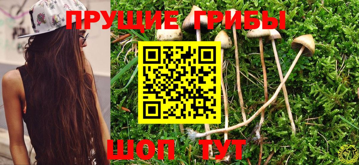 Галлюциногенные грибы Magic Shrooms Лабинск